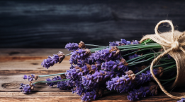 Lavender