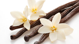 Vanilla